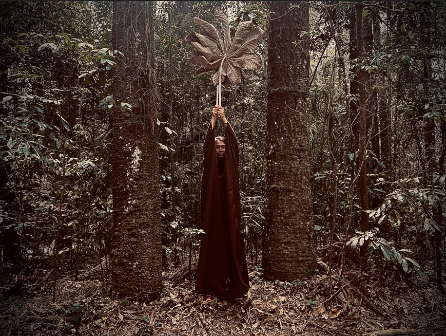 Sussurros da Natureza