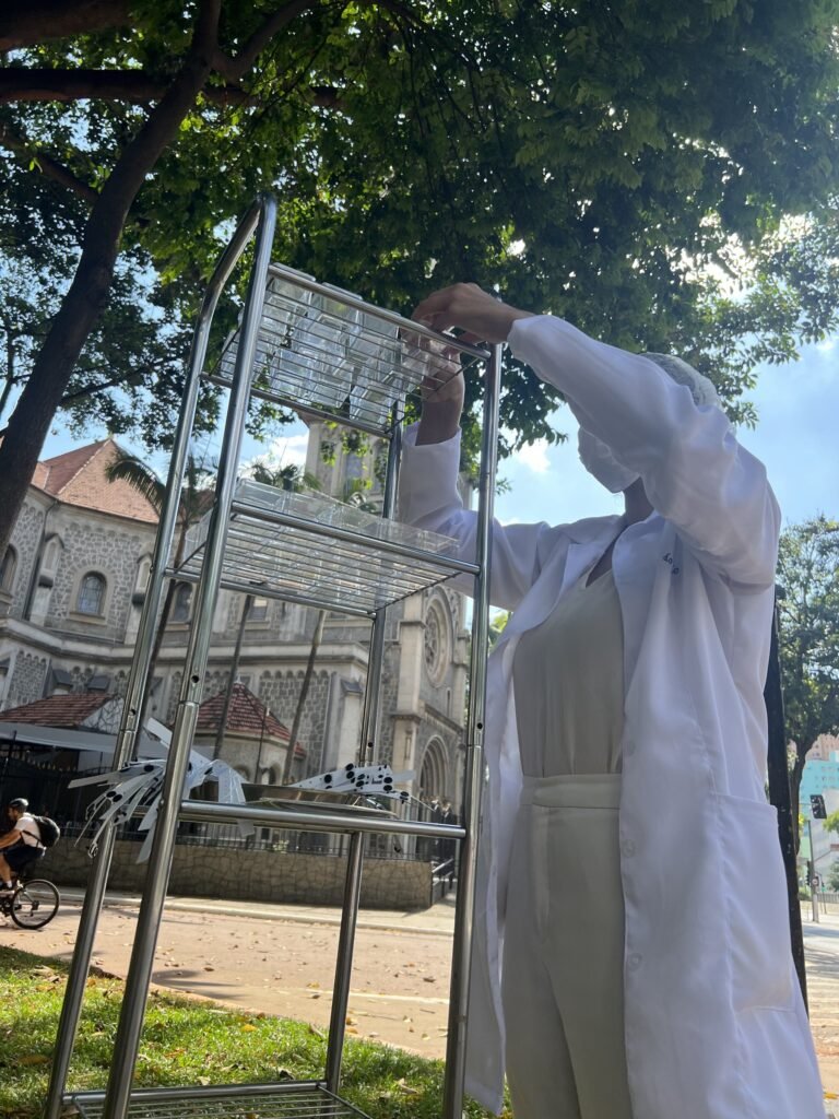 Marie Araújo, de jaleco branco, arruma caixas transparentes num carrinho de aço sob as árvores da Praça Roosevelt, com a Igreja da Consolação ao fundo