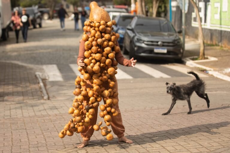 Jéssica Cruz, coberta de cabaças, atravessa a rua junto à faixa de pedestres enquanto um cachorro preto passa ao lado