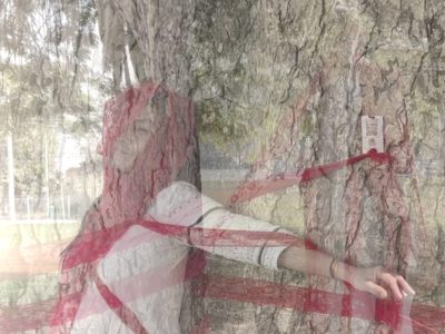 reiko_shimizu_arboreal_sigh_serformancep_2025